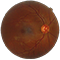 service-icon-img